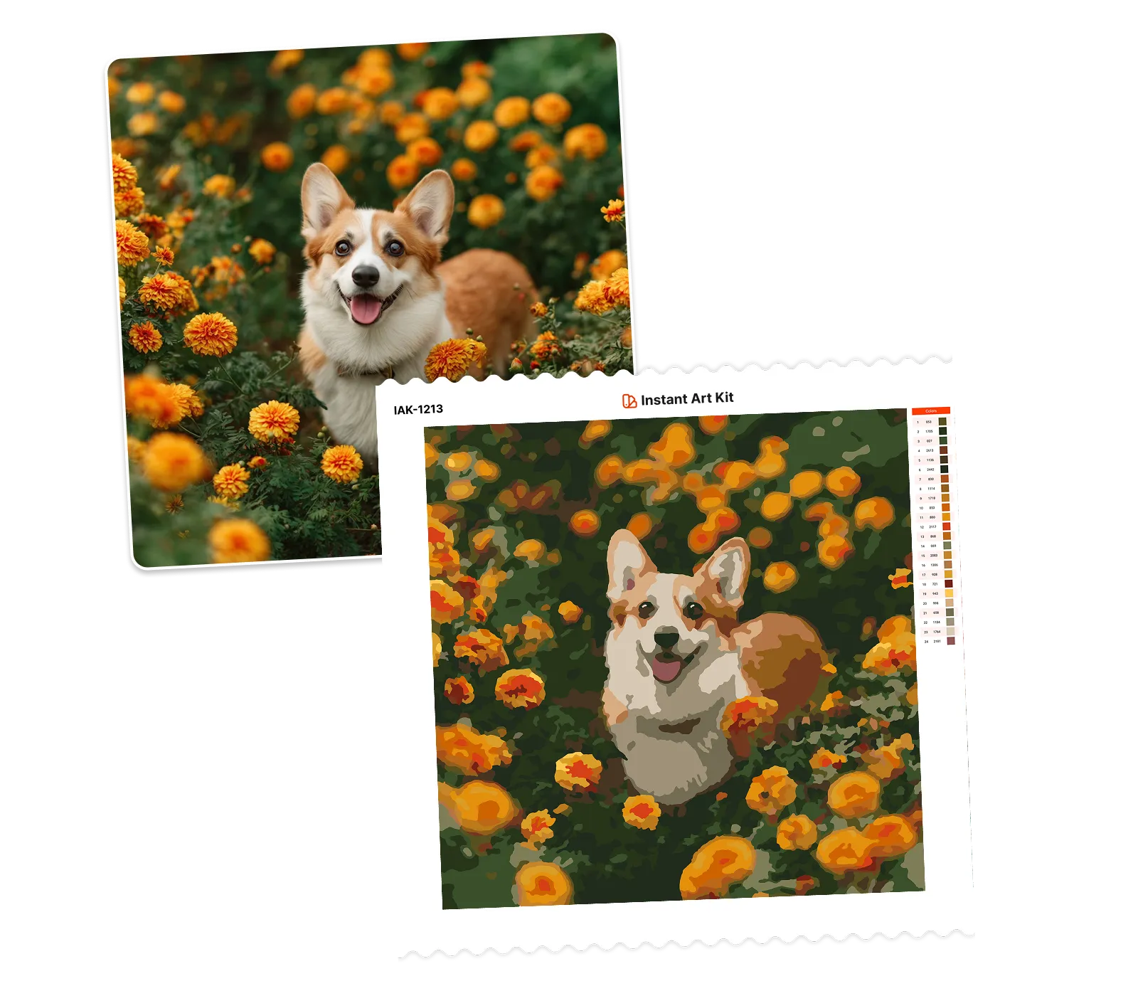 Photo converted to paint by numbers preview with numbered color regions